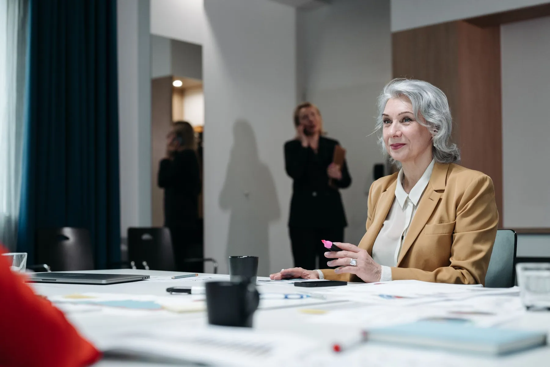 Senior businesswoman leading a professional meeting